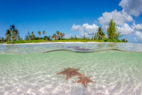 Image of Seven Mile Beach